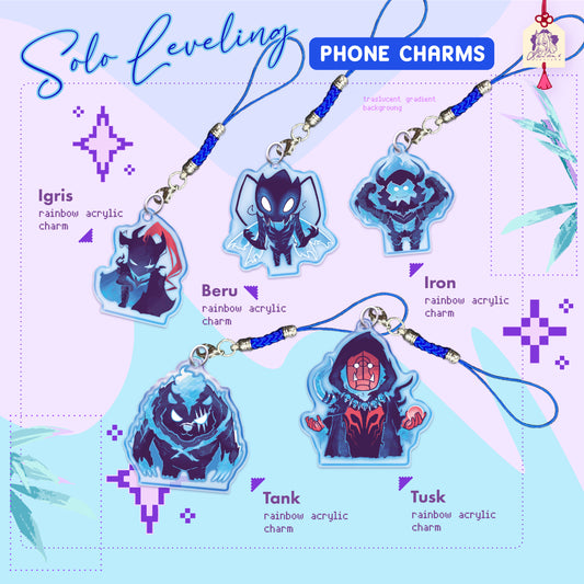 Solo Levelling ◣ CHARMS